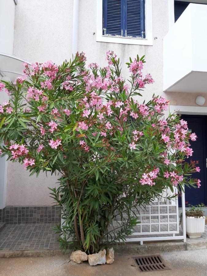 מאלינסקה Studio Apartman Mija 1 מראה חיצוני תמונה